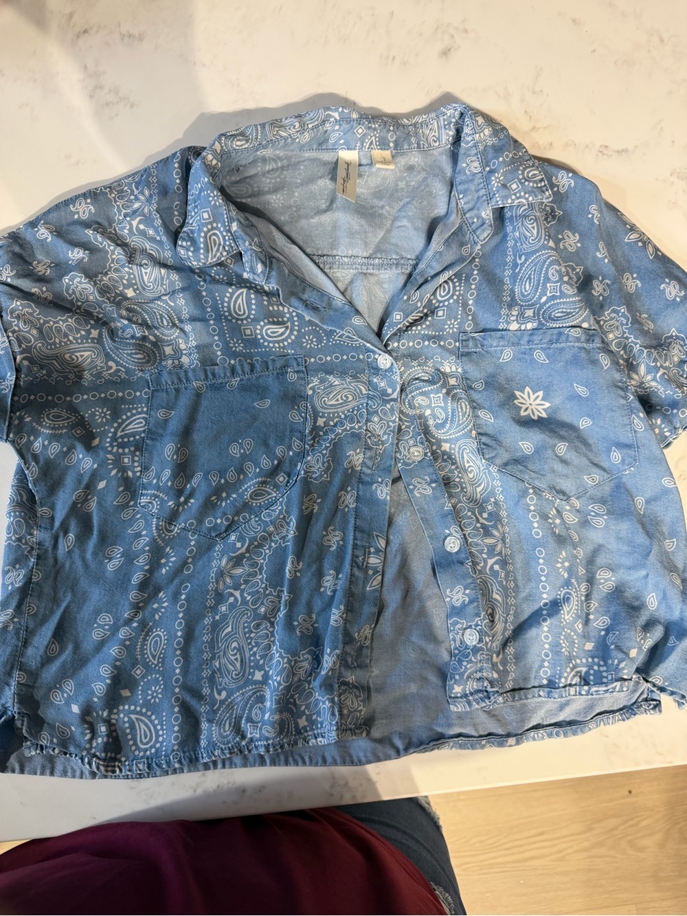 Johnny Was Blue Paisley Button-Down Shirt